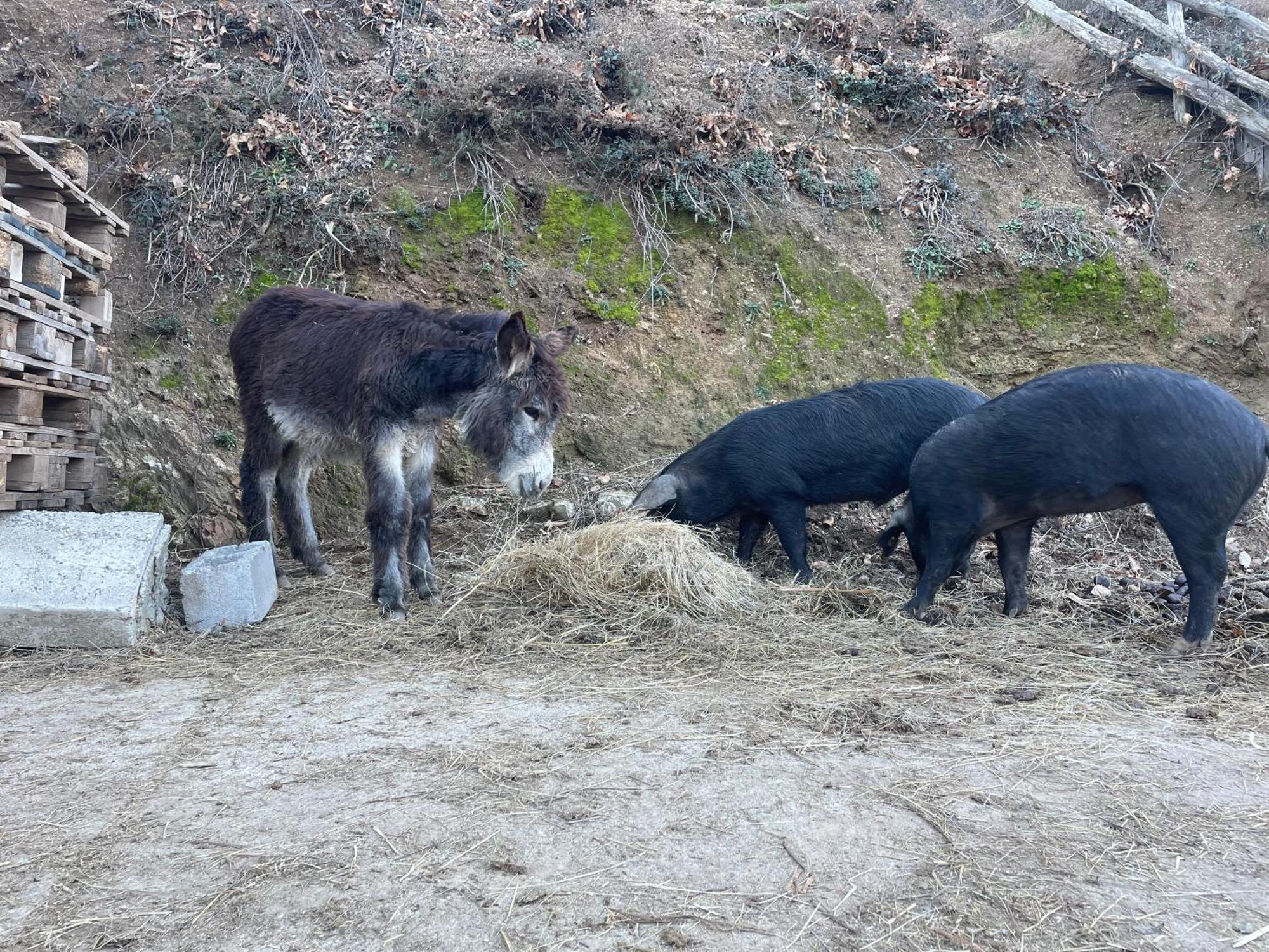 La Locanda Del Poeta Acri Dış mekan fotoğraf
